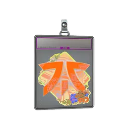 Sticker Slab | Fnatic (Holo) | Rio 2022