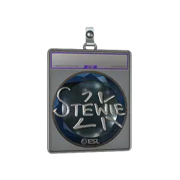 Sticker Slab | Stewie2K (Foil) | Katowice 2019
