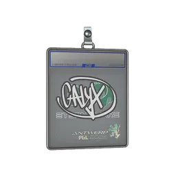 Sticker Slab | Calyx | Antwerp 2022