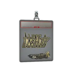 Sticker Slab | chelo (Gold) | Antwerp 2022
