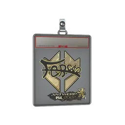 Sticker Slab | fer (Gold) | Antwerp 2022