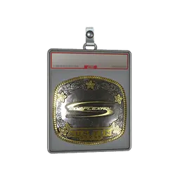 Sticker Slab | Complexity Gaming (Gold) | Austin 2025