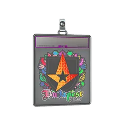 Sticker Slab | Astralis (Holo) | Budapest 2025