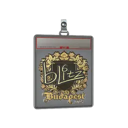 Sticker Slab | bLitz (Gold) | Budapest 2025