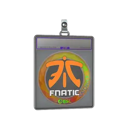Sticker Slab | Fnatic (Holo) | Katowice 2019