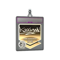 Sticker Slab | karrigan (Gold) | Cluj-Napoca 2015