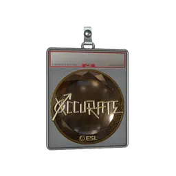 Sticker Slab | xccurate (Gold) | Katowice 2019