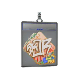 Sticker Slab | sk0R | Rio 2022