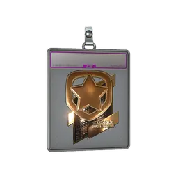 Sticker Slab | Gambit Esports (Gold) | Boston 2018