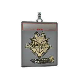 Sticker Slab | Aleksib (Gold) | Antwerp 2022