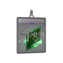 Sticker Slab | Spiidi (Foil) | Boston 2018