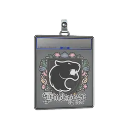 Sticker Slab | FURIA | Budapest 2025