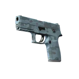 P250 | Forest Night