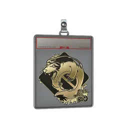 Sticker Slab | Outsiders (Gold) | Rio 2022