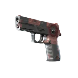 P250 | Constructivist