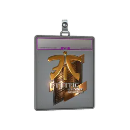 Sticker Slab | Fnatic (Foil) | Boston 2018