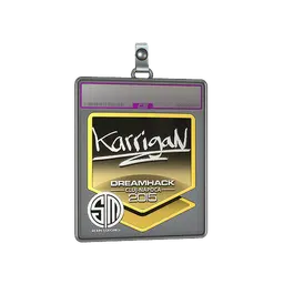 Sticker Slab | karrigan (Foil) | Cluj-Napoca 2015