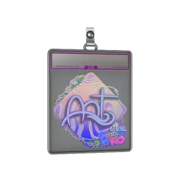 Sticker Slab | arT (Holo) | Rio 2022
