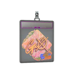 Sticker Slab | gxx- (Holo) | Rio 2022
