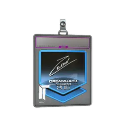 Sticker Slab | Ex6TenZ (Foil) | Cluj-Napoca 2015