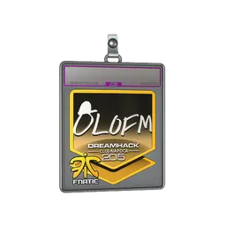 Sticker Slab | olofmeister (Foil) | Cluj-Napoca 2015