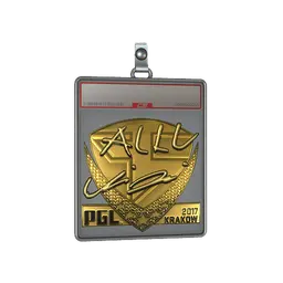 Sticker Slab | allu (Gold) | Krakow 2017