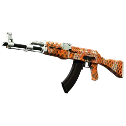 AK-47 | Safety Net