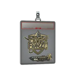 Sticker Slab | Jerry (Gold) | Antwerp 2022