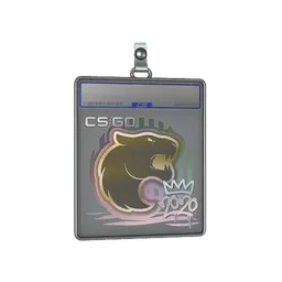 Sticker Slab | FURIA | 2020 RMR