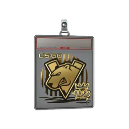 Sticker Slab | Virtus.pro (Gold) | 2020 RMR