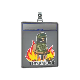 Sticker Slab | This Is Fine (CT)