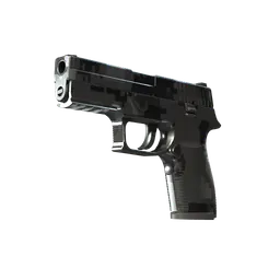 P250 | Metallic DDPAT