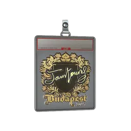 Sticker Slab | JamYoung (Gold) | Budapest 2025
