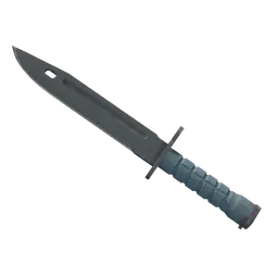 ★ Bayonet | Night