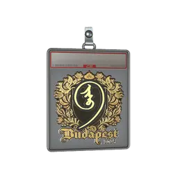 Sticker Slab | nin9 (Gold) | Budapest 2025
