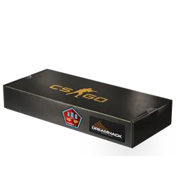 DreamHack 2014 Mirage Souvenir Package