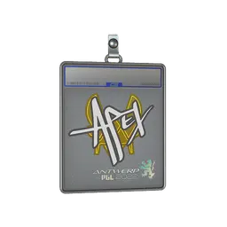 Sticker Slab | apEX | Antwerp 2022
