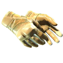 ★ Moto Gloves | Transport
