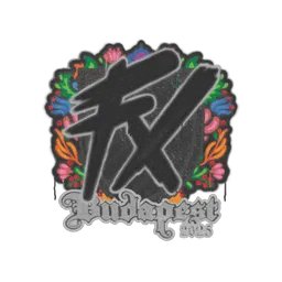 Sealed Graffiti | Fluxo | Budapest 2025
