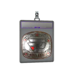Sticker Slab | paiN Gaming (Foil) | Austin 2025