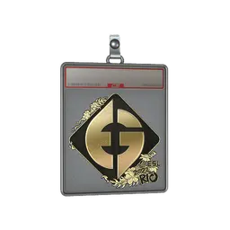 Sticker Slab | Evil Geniuses (Gold) | Rio 2022