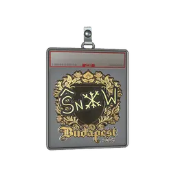 Sticker Slab | snow (Gold) | Budapest 2025