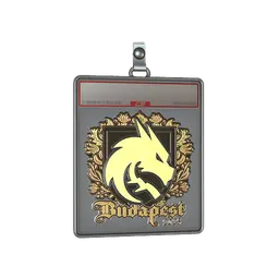 Sticker Slab | Team Spirit (Gold) | Budapest 2025