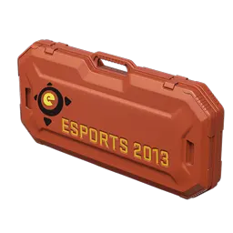 eSports 2013 Case