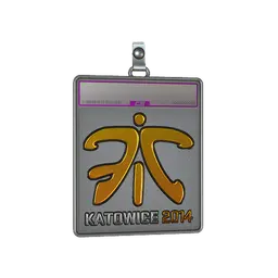 Sticker Slab | Fnatic (Foil) | Katowice 2014
