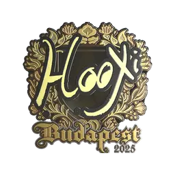 Sticker | HooXi (Gold) | Budapest 2025