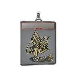 Sticker Slab | gxx- (Gold) | Antwerp 2022