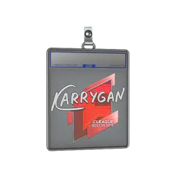 Sticker Slab | karrigan | Boston 2018