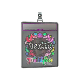 Sticker Slab | alex666 (Holo) | Budapest 2025