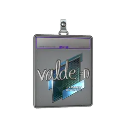Sticker Slab | v4lde (Foil) | Boston 2018